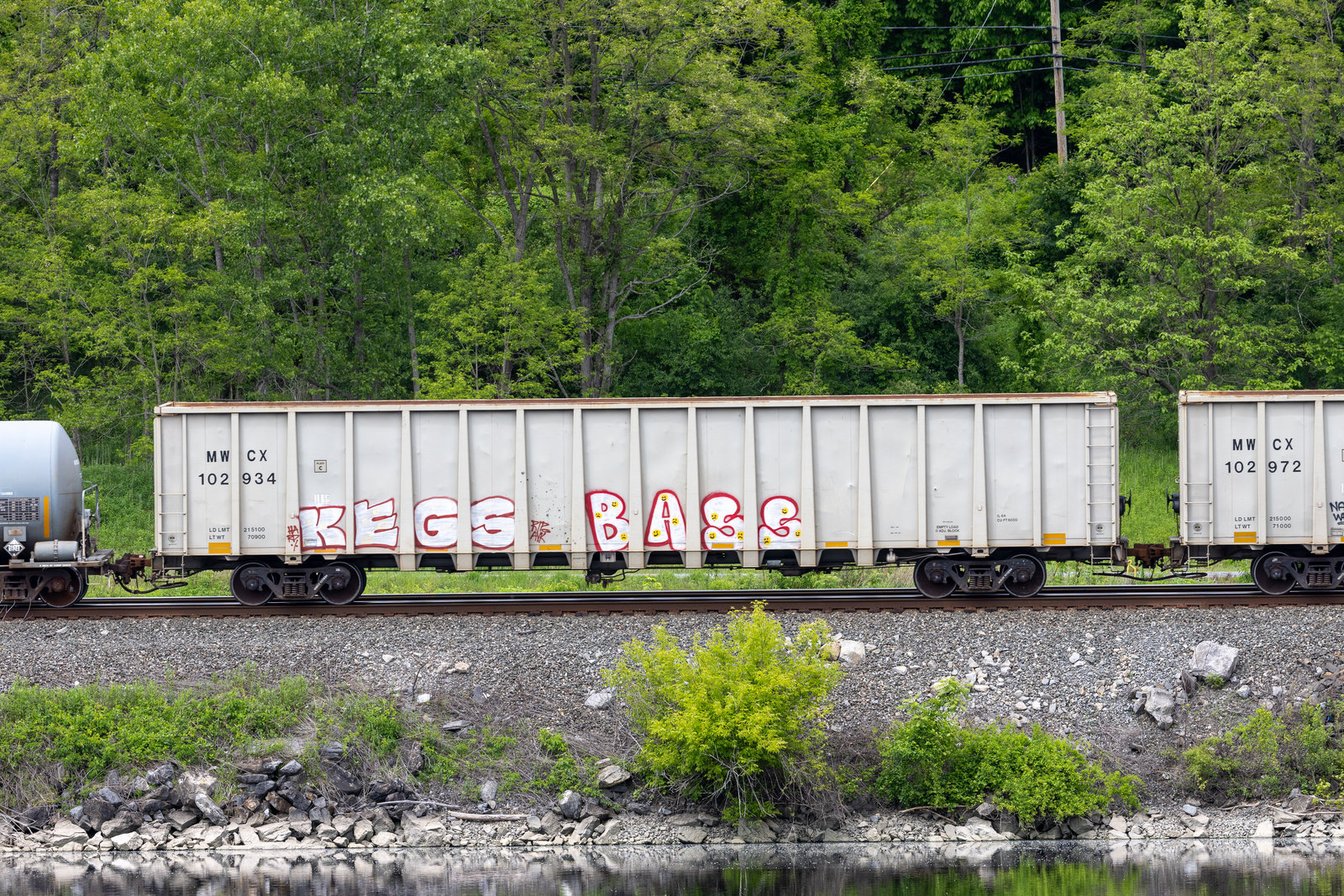 MWCX 102934