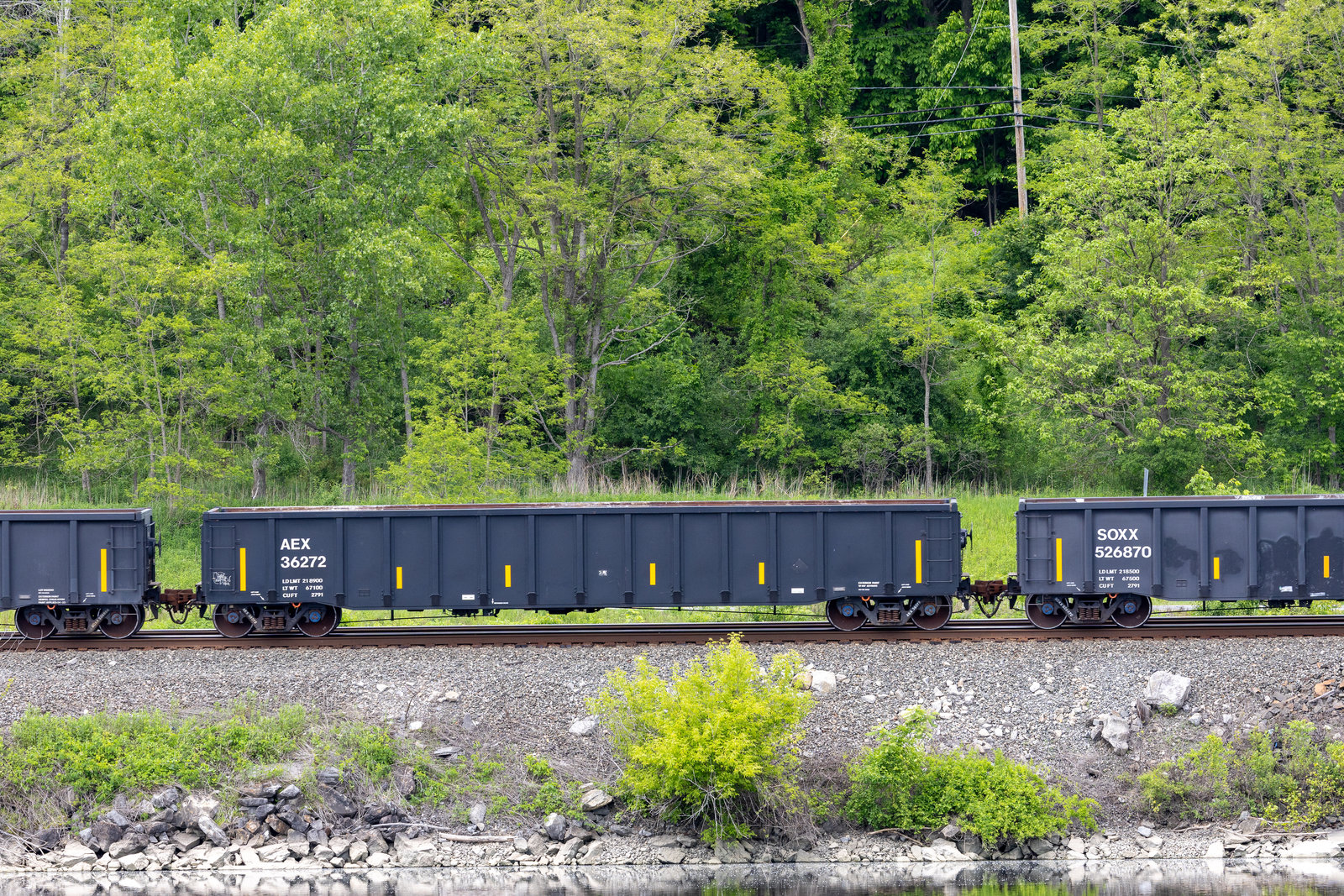 AEX 36272