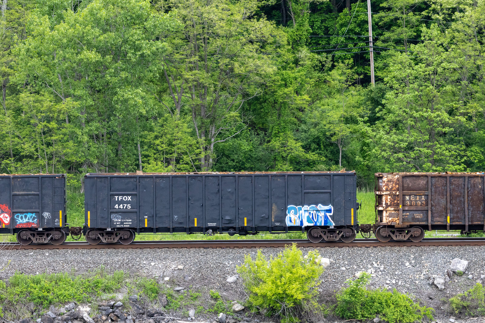 TFOX 4475