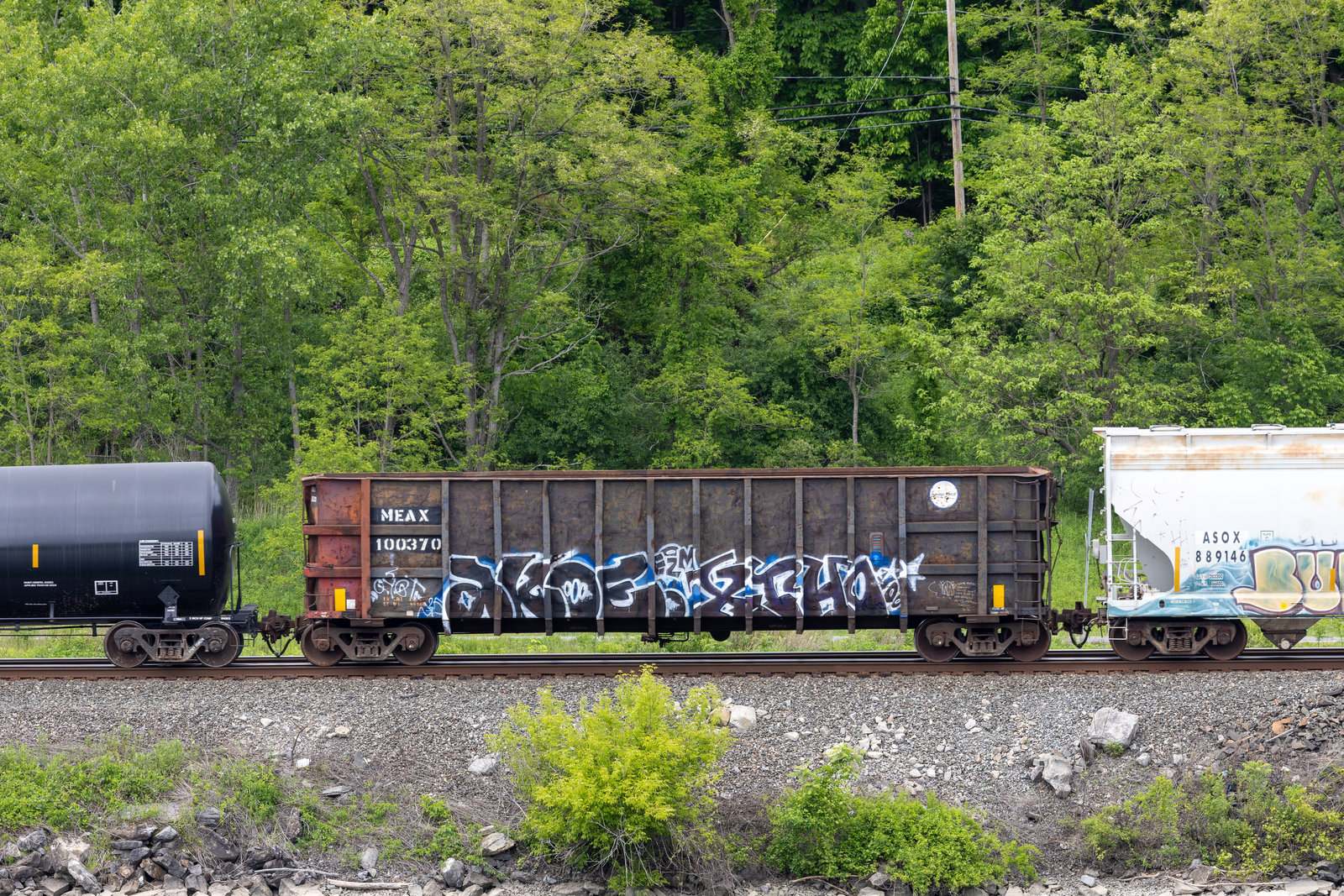 MEAX 100370