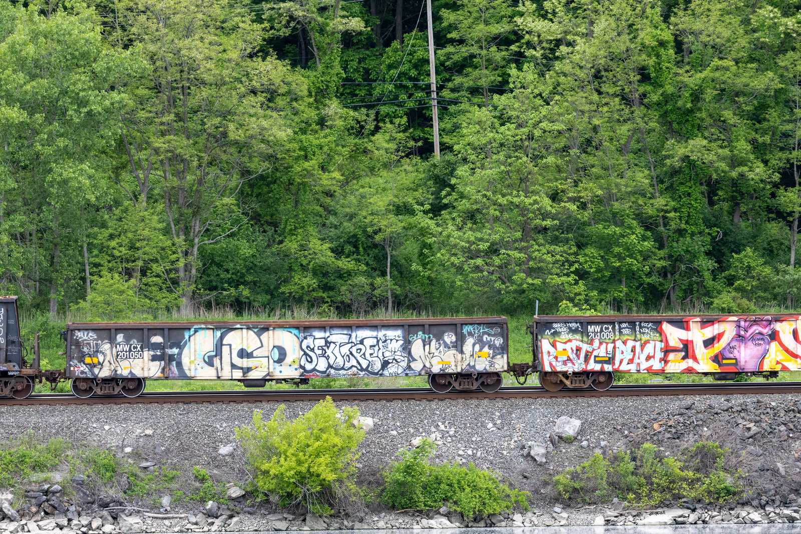 MWCX 201050