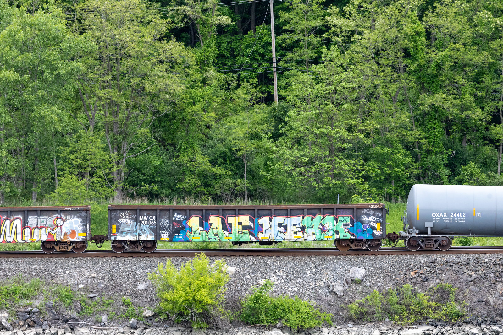 MWCX 201065
