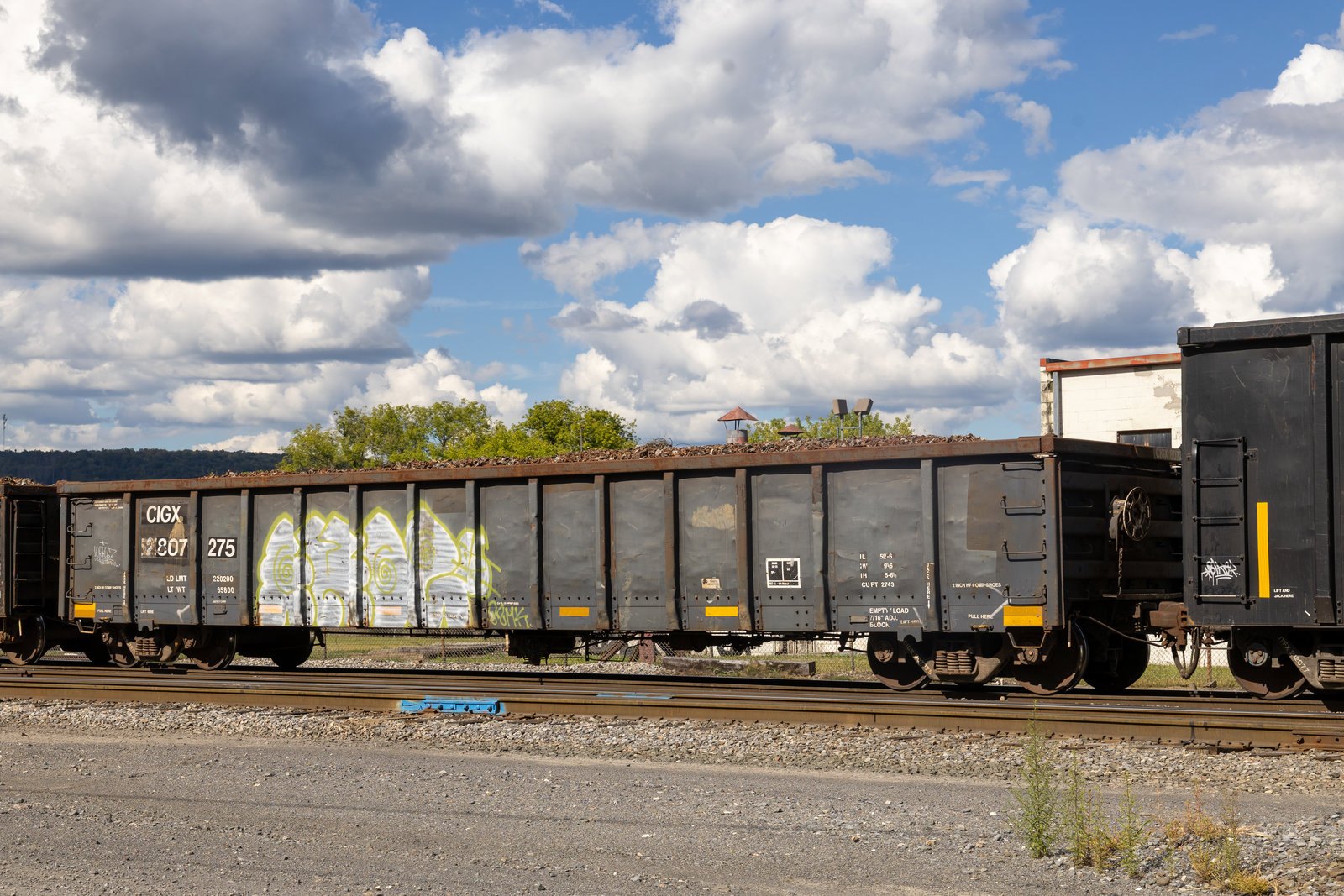 CIGX 807275
