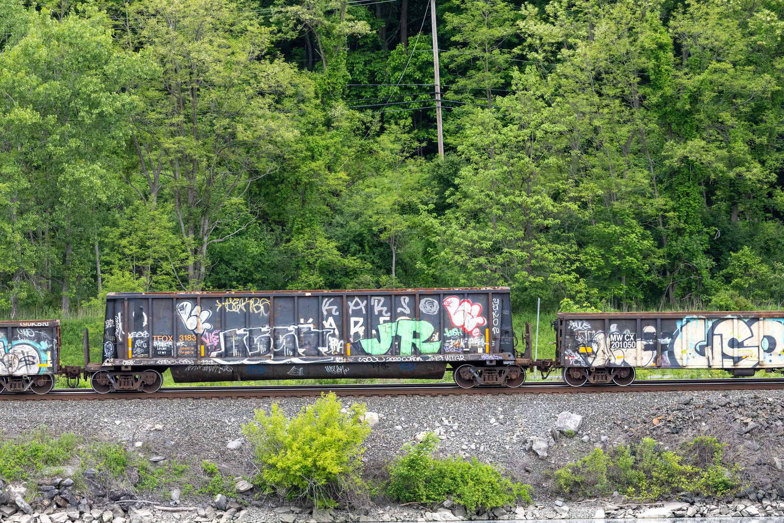 TFOX 3183