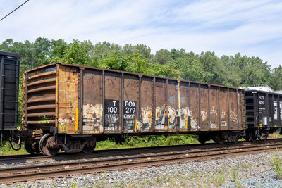 TFOX 100279