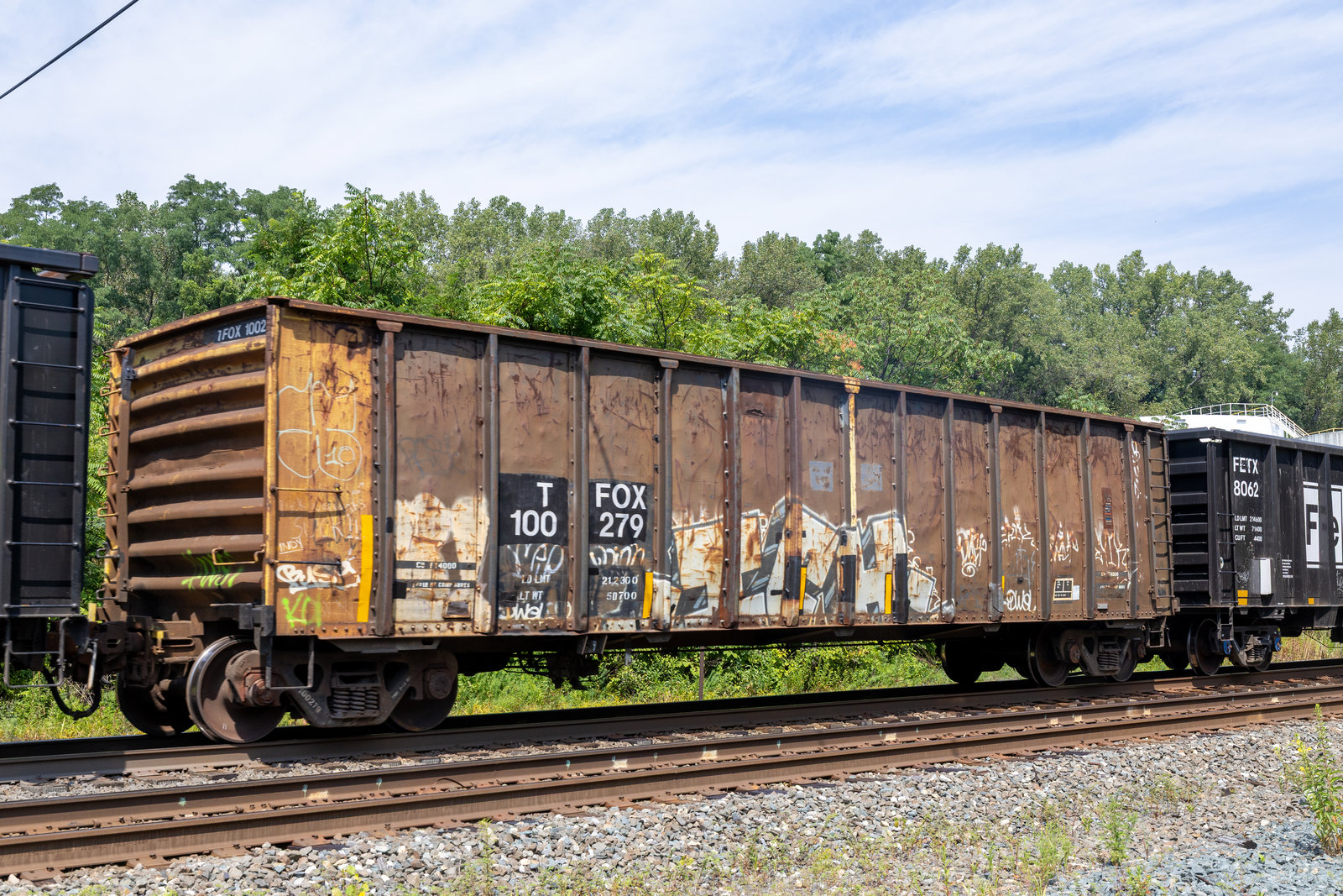 TFOX 100279