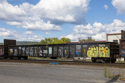 GNBC 6004