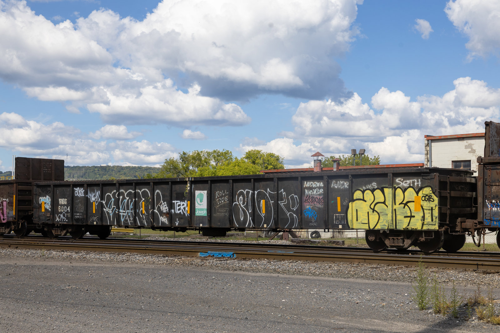 GNBC 6004