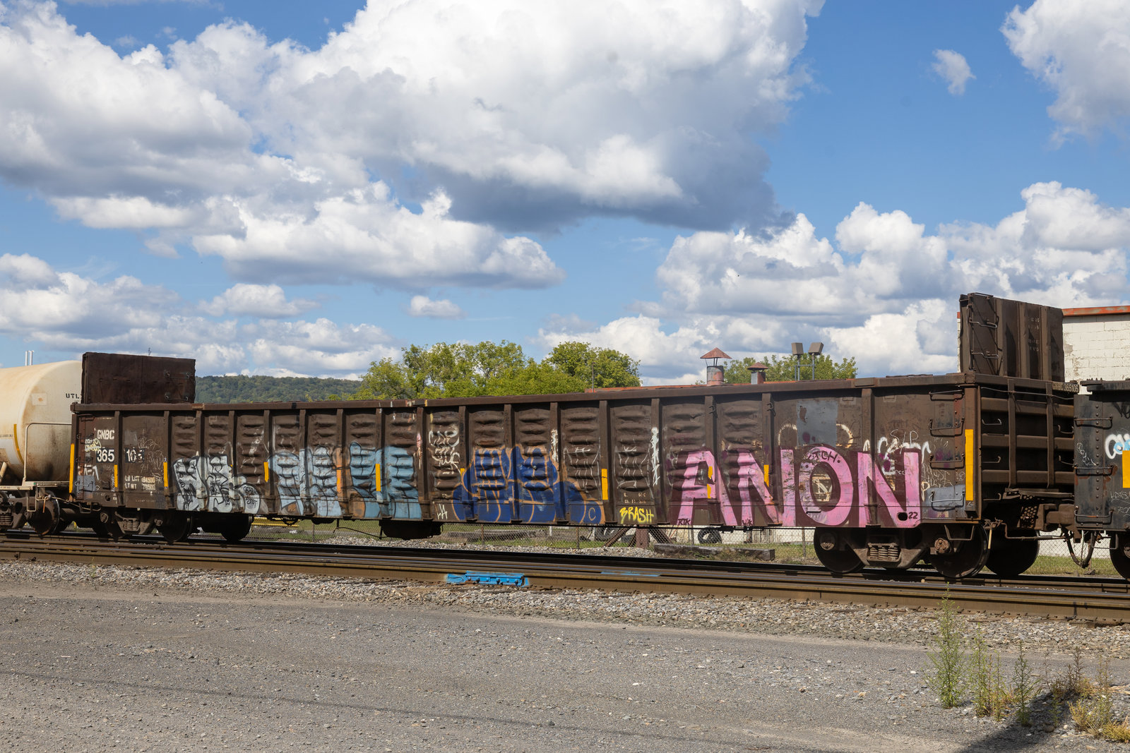 GNBC 365105