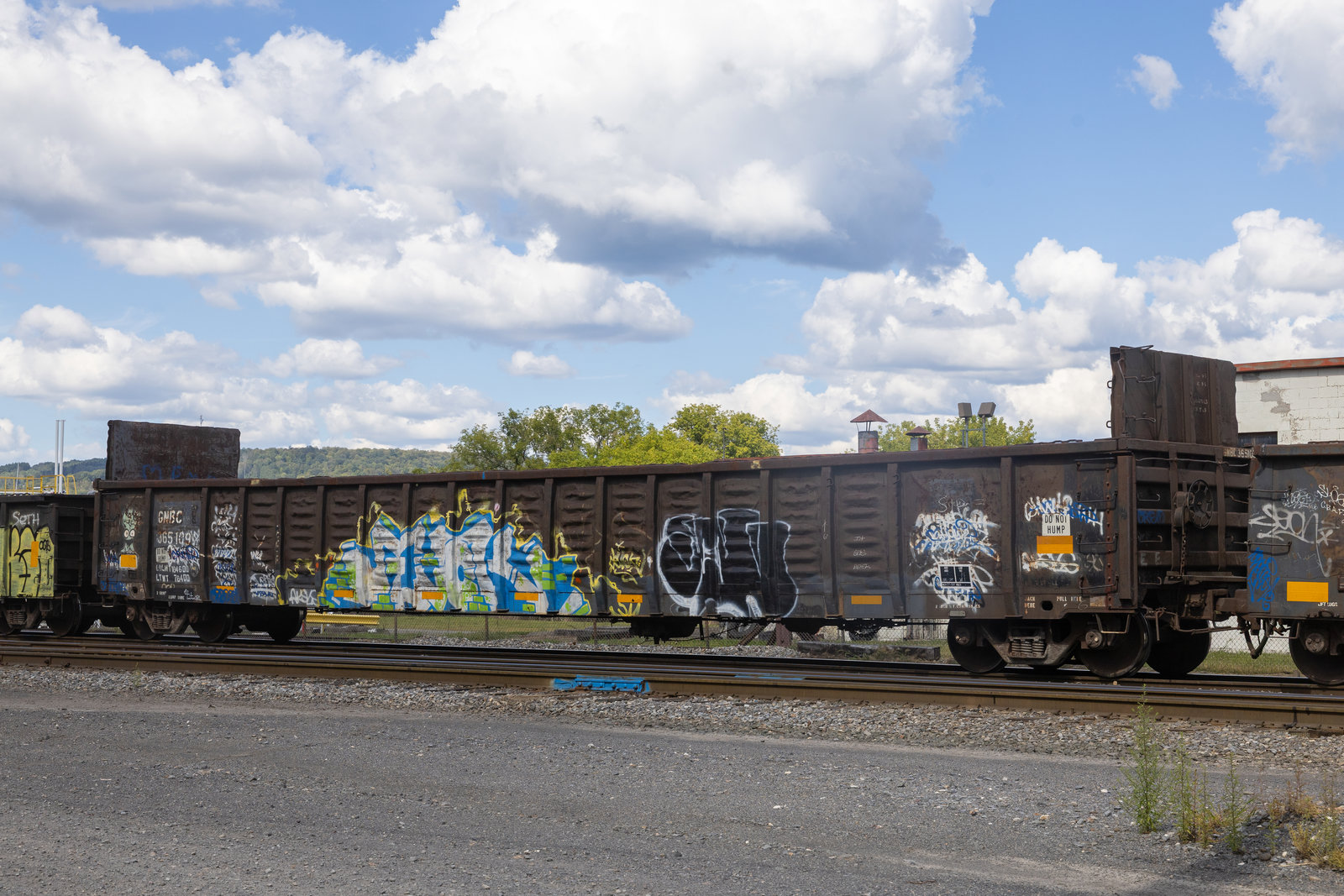 GNBC 365109