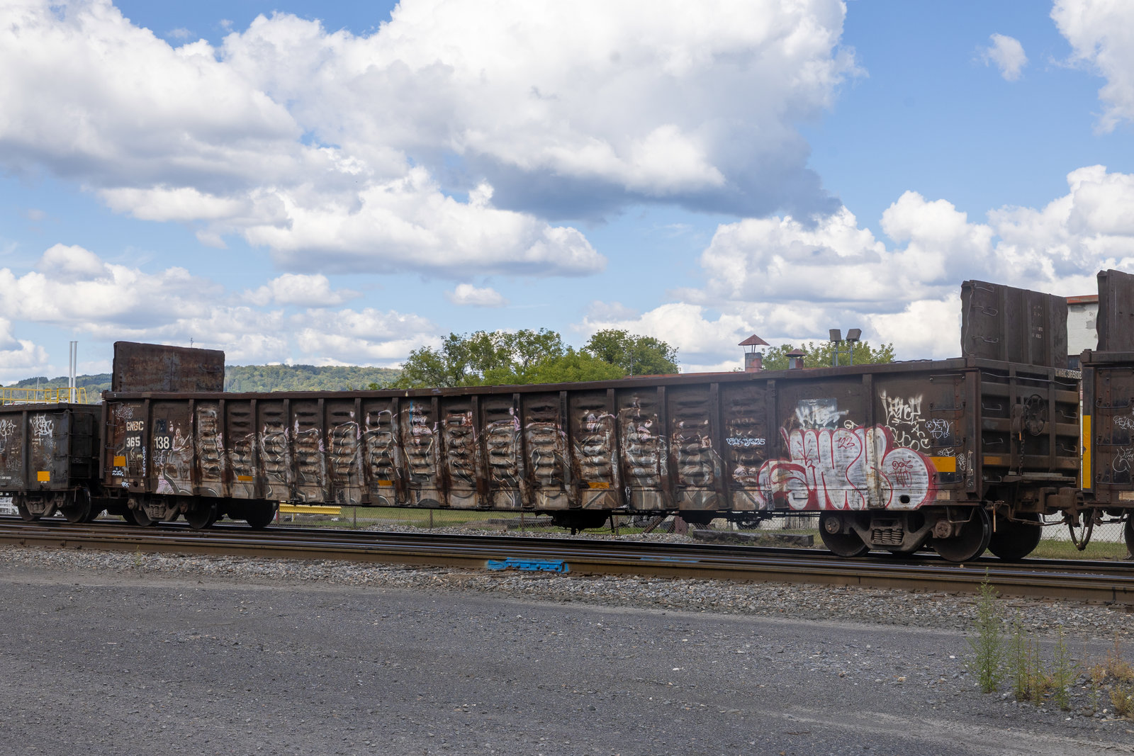 GNBC 365138