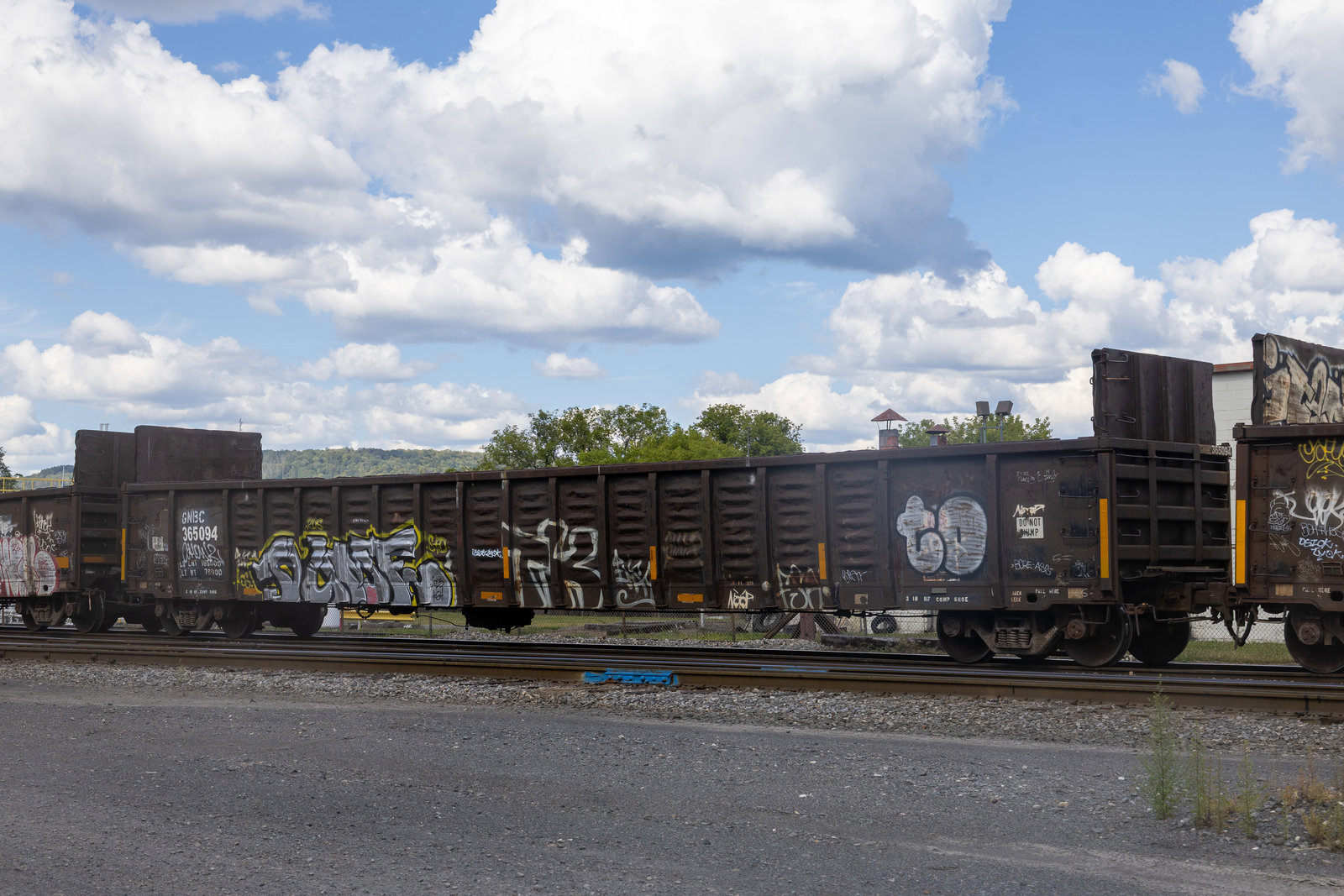 GNBC 365094