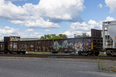 GNBC 365110