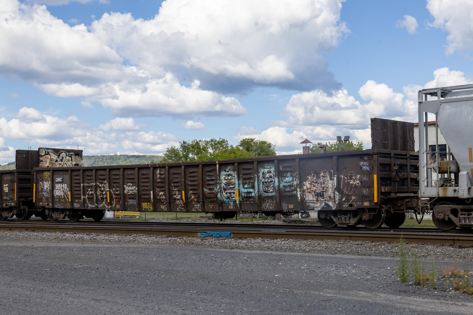GNBC 365110