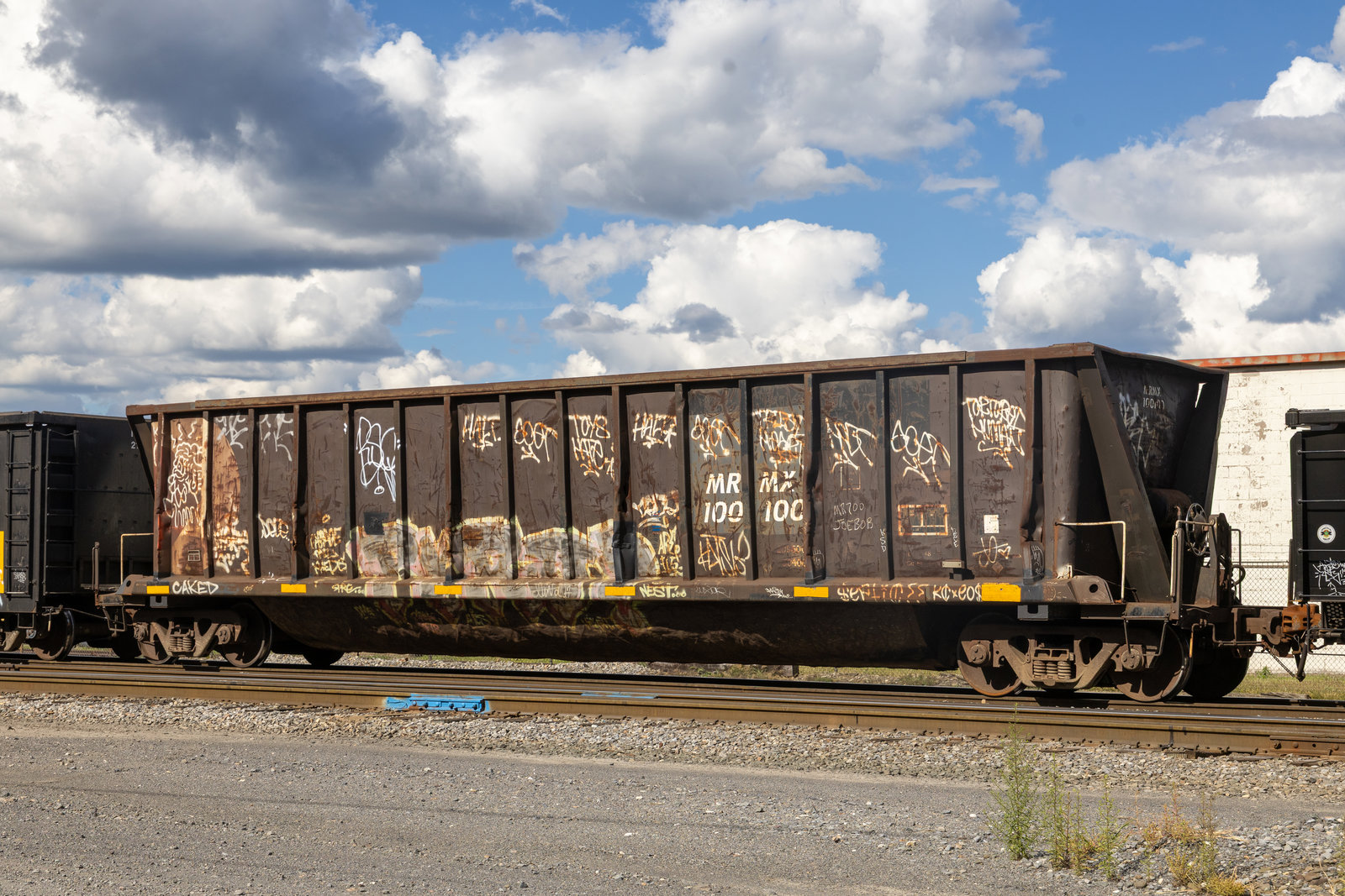MRMX 100100