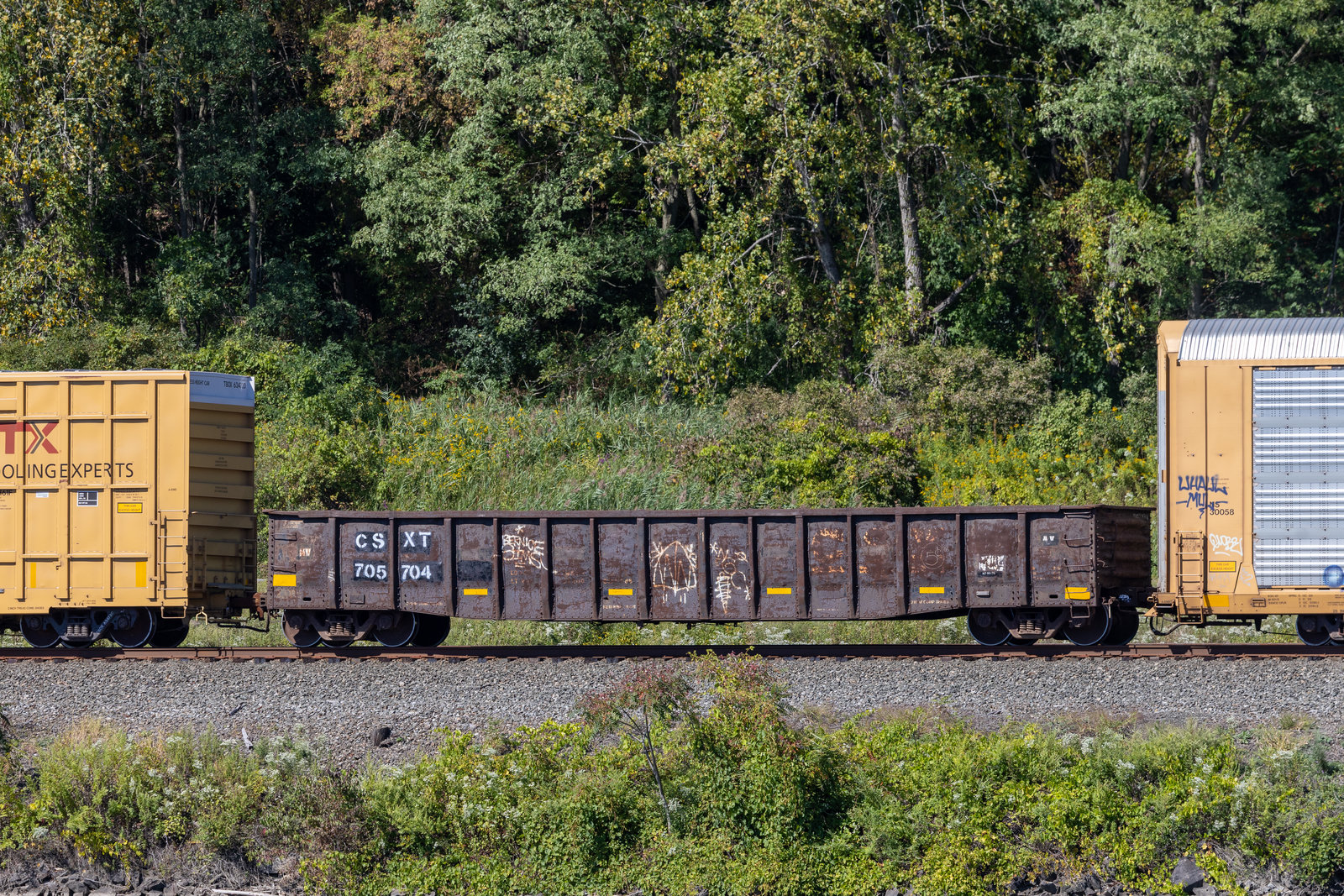 CSXT 705704