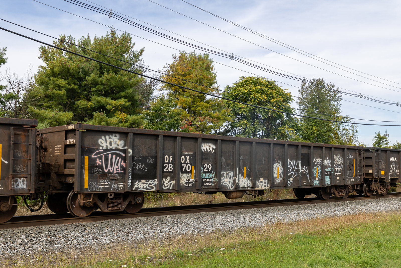 OFOX 287029