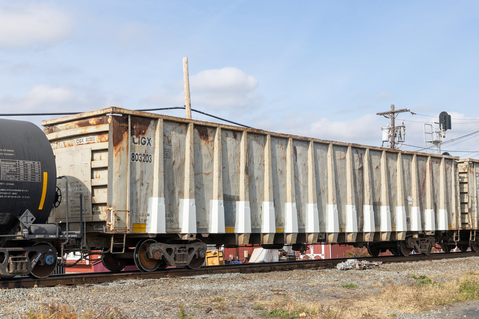 CIGX 803203
