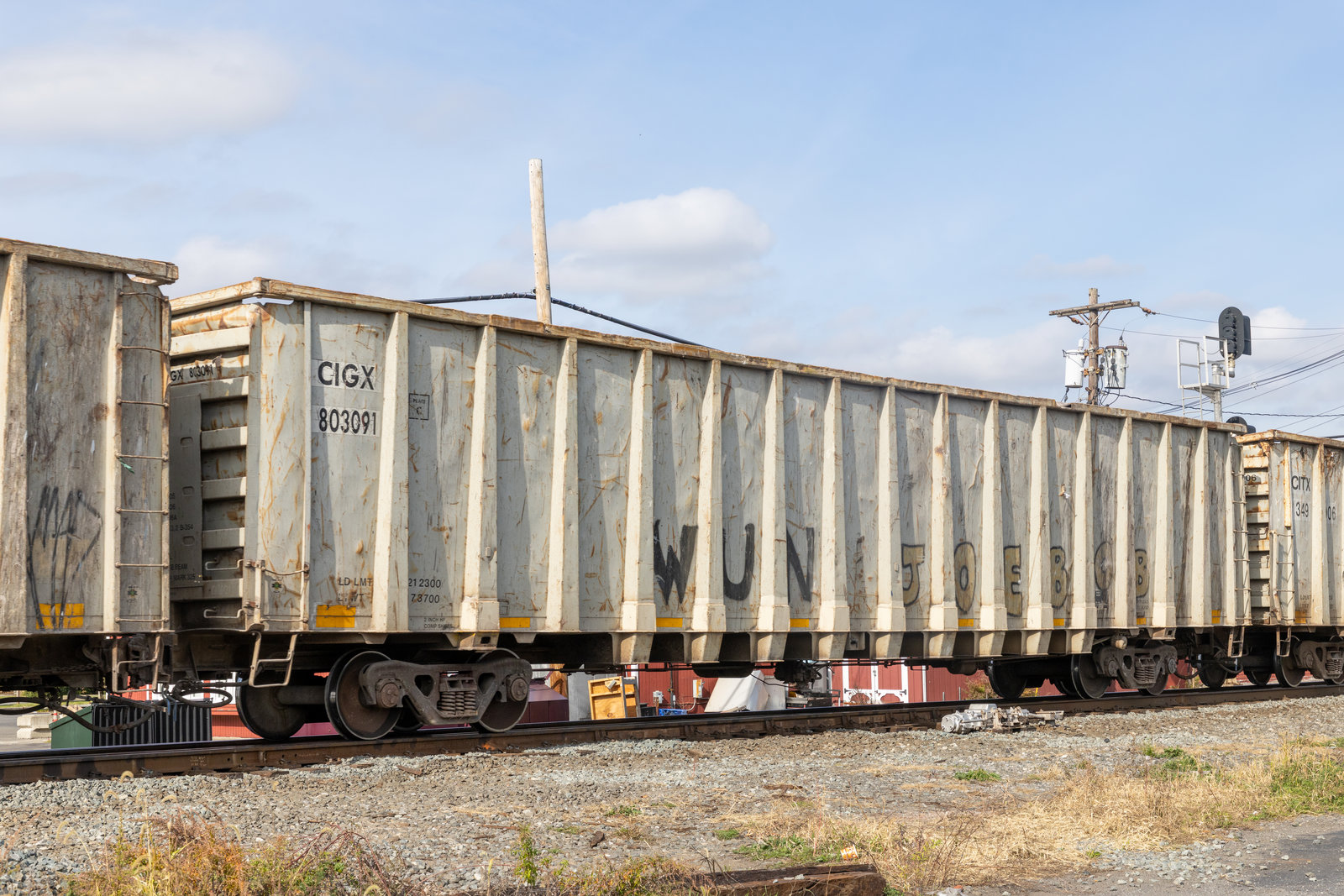 CIGX 803091