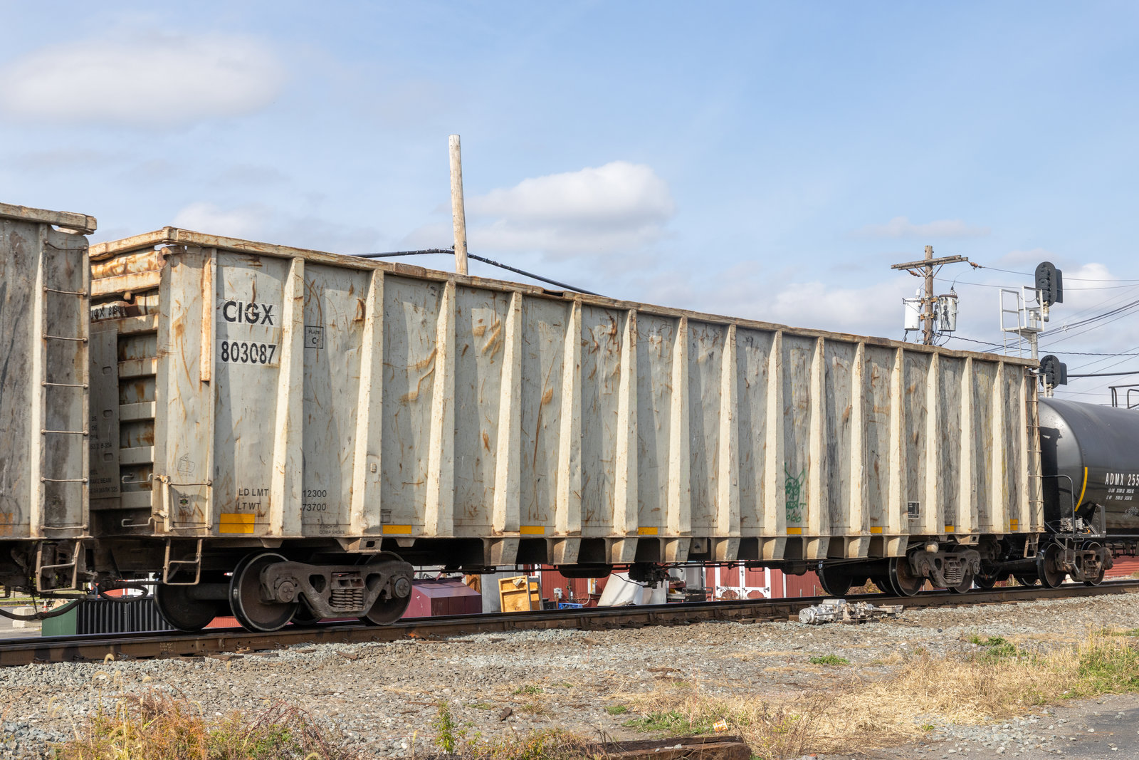 CIGX 803087