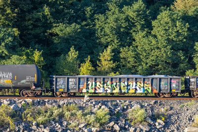 MHFX 5955
