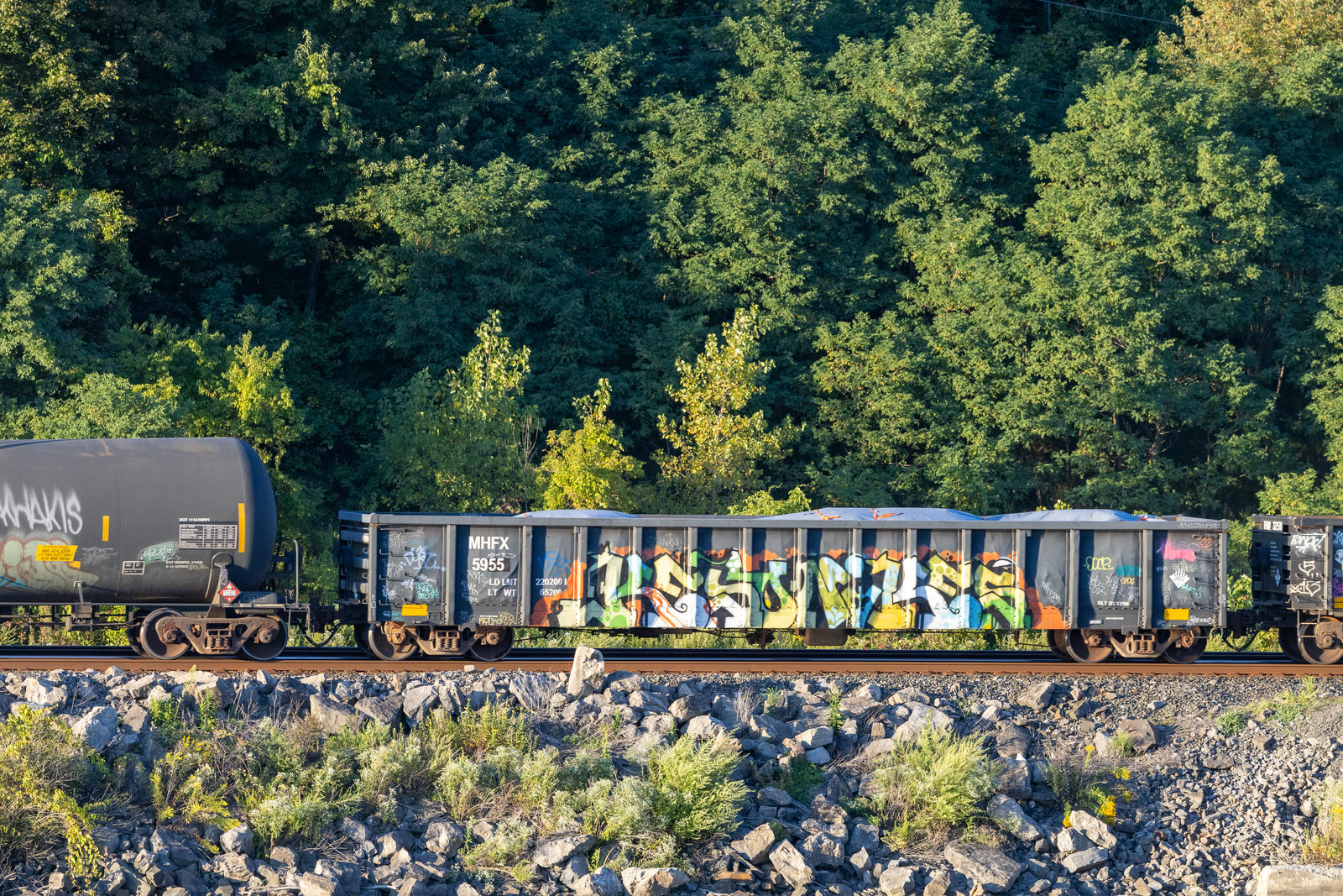 MHFX 5955