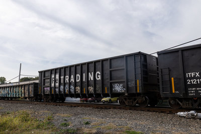 TFOX 4437