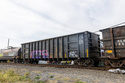 TFOX 4411