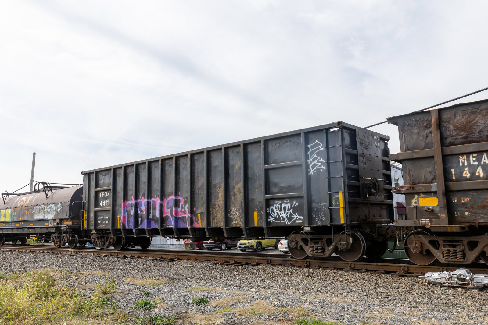 TFOX 4411