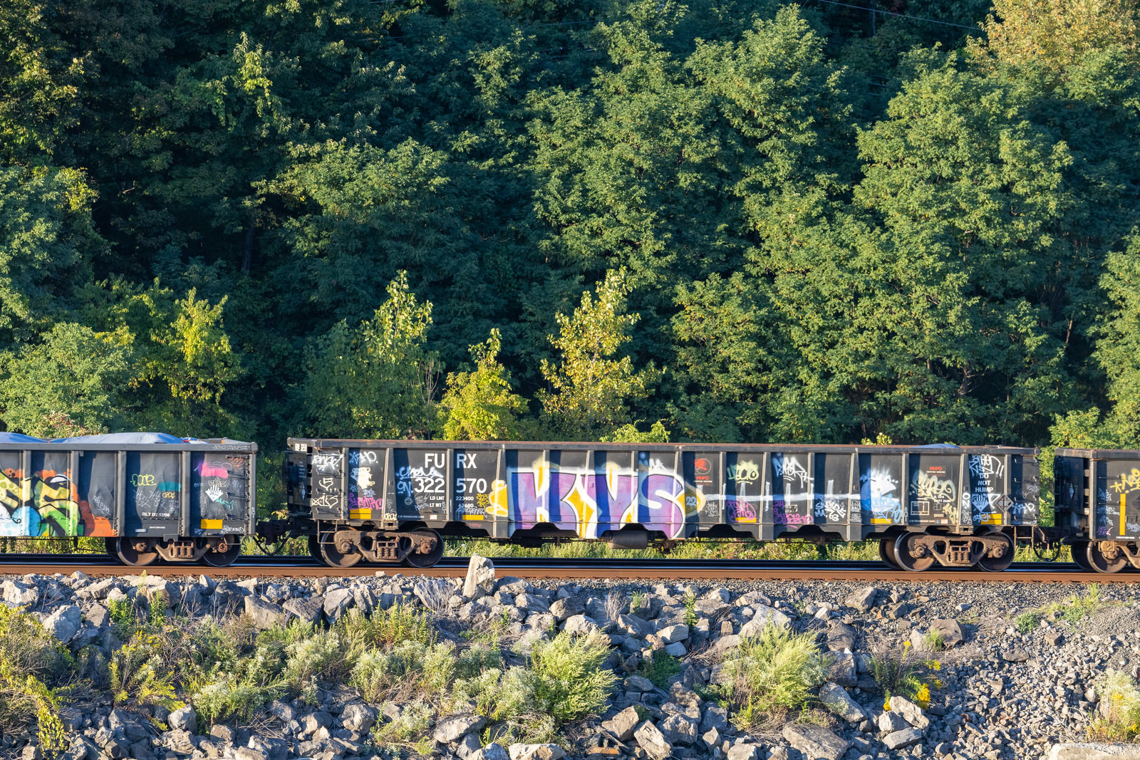 FURX 322570