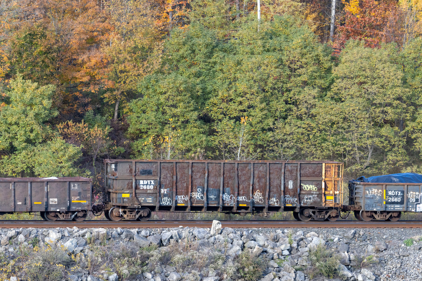 RDTX 268037