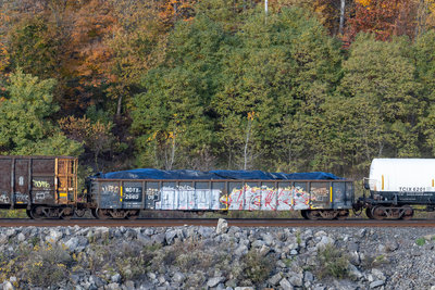 RDTX 268009