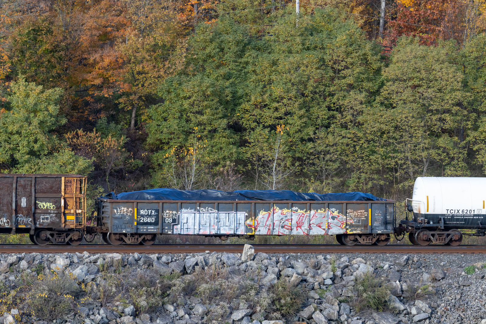 RDTX 268009