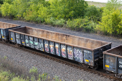 RDTX 268017