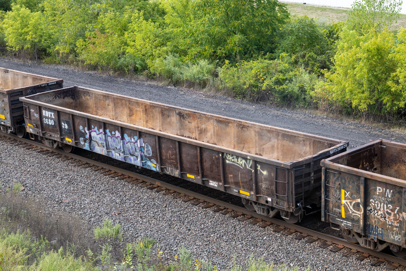 RDTX 268029