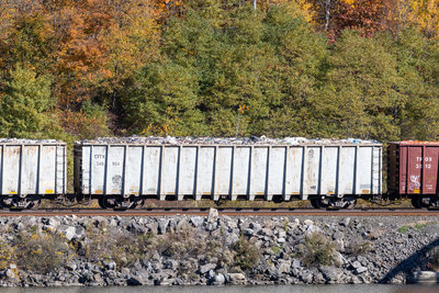 CITX 349954