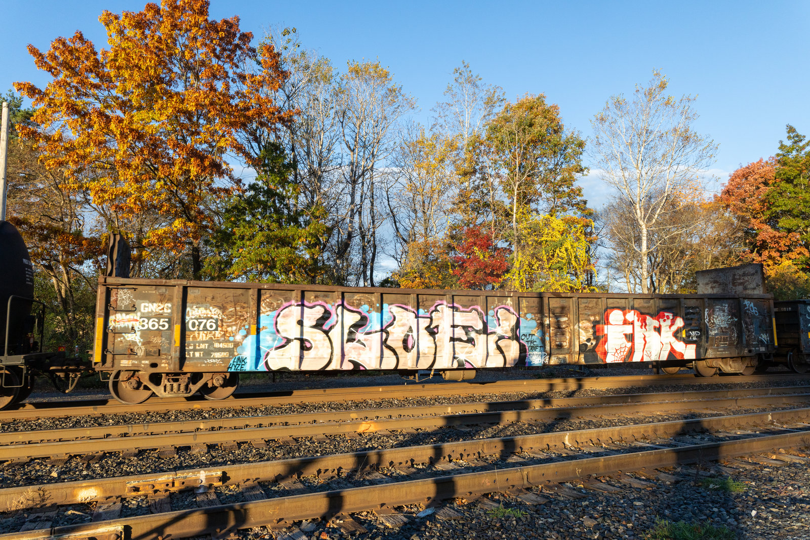 GNBC 365076