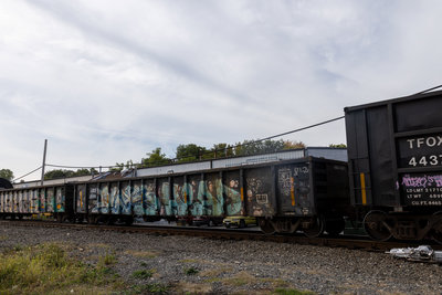 AMGX 2599