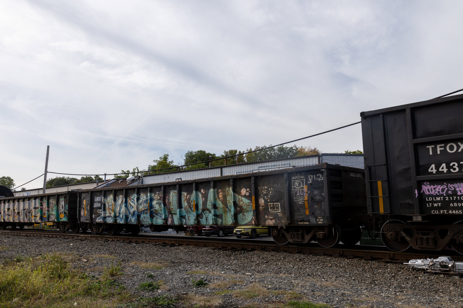AMGX 2599