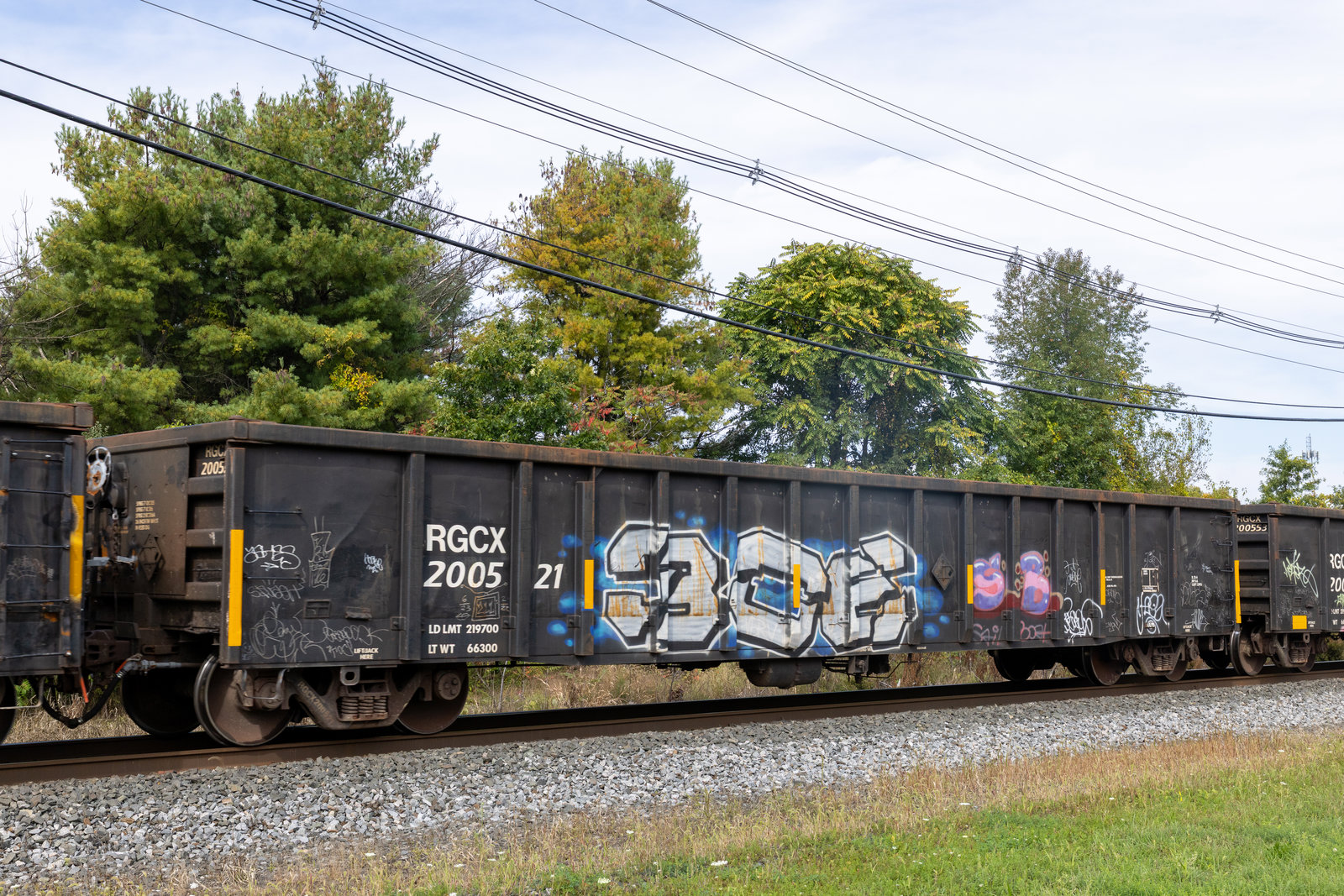RGCX 200521
