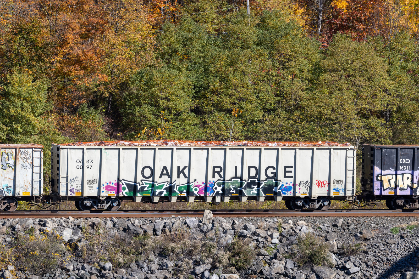 OAKX 0097