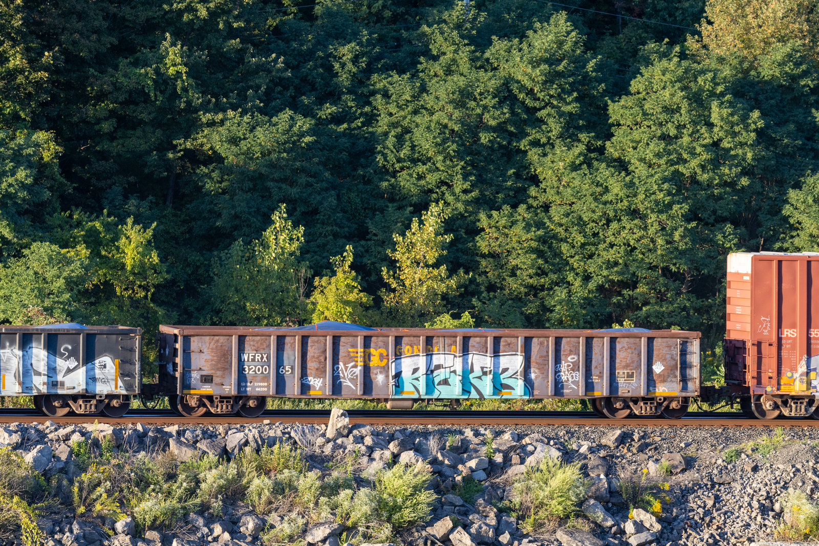 WFRX 320065