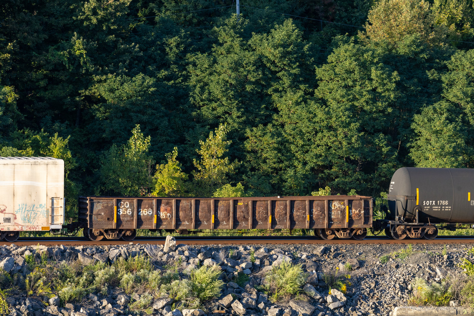 CO 356268