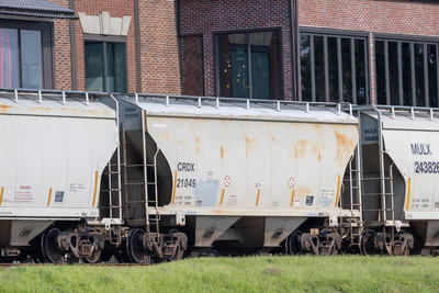 CRDX 21049