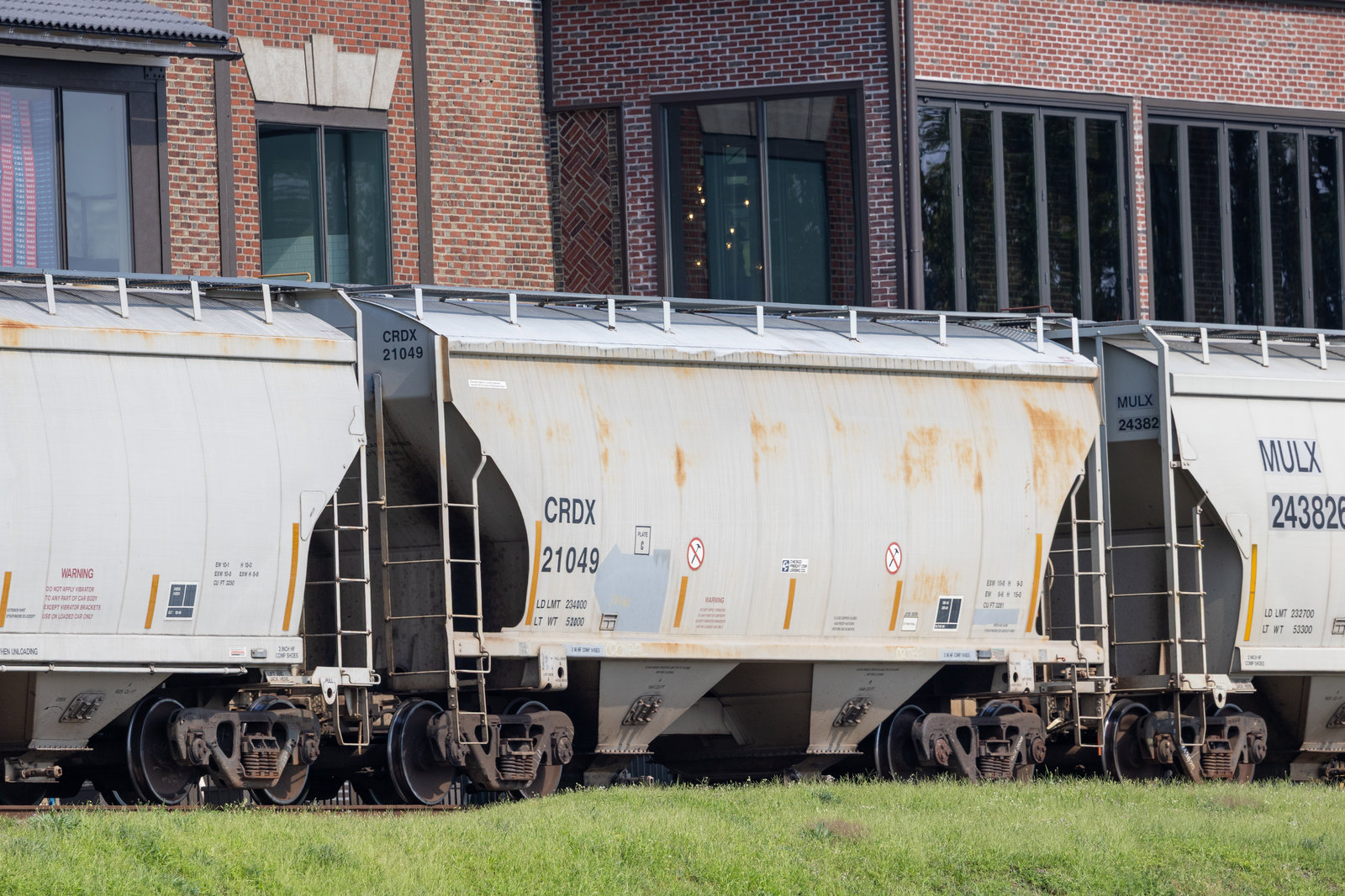 CRDX 21049