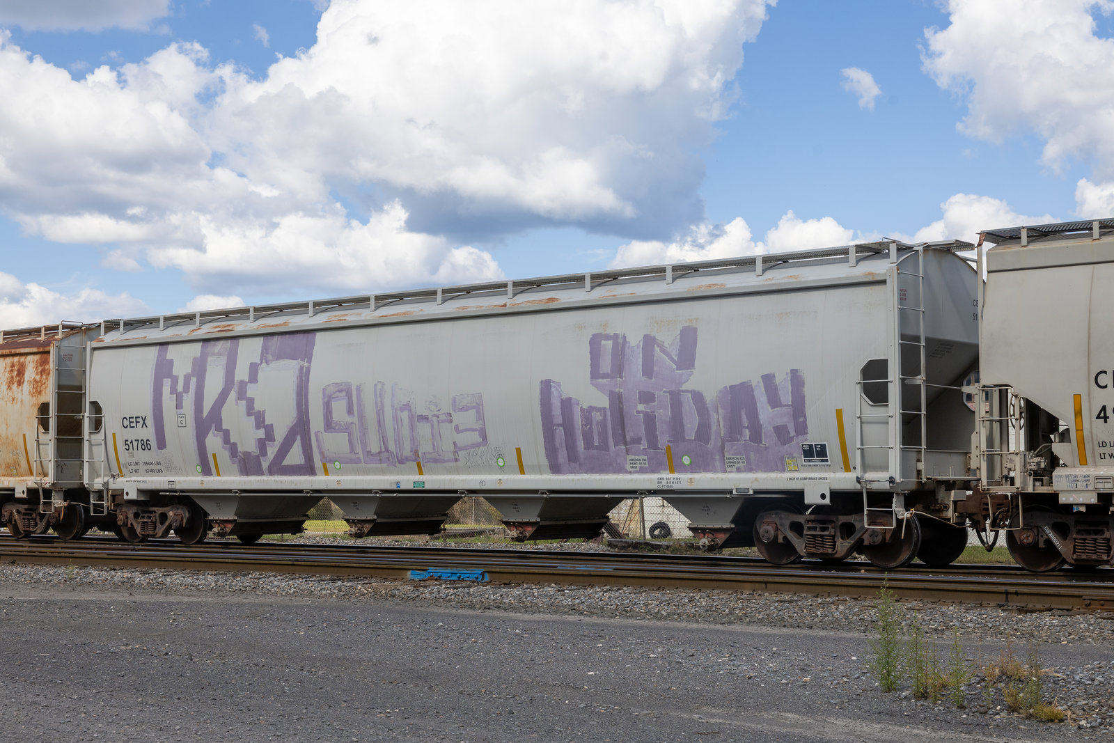CEFX 51786