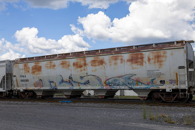 FPAX 890288