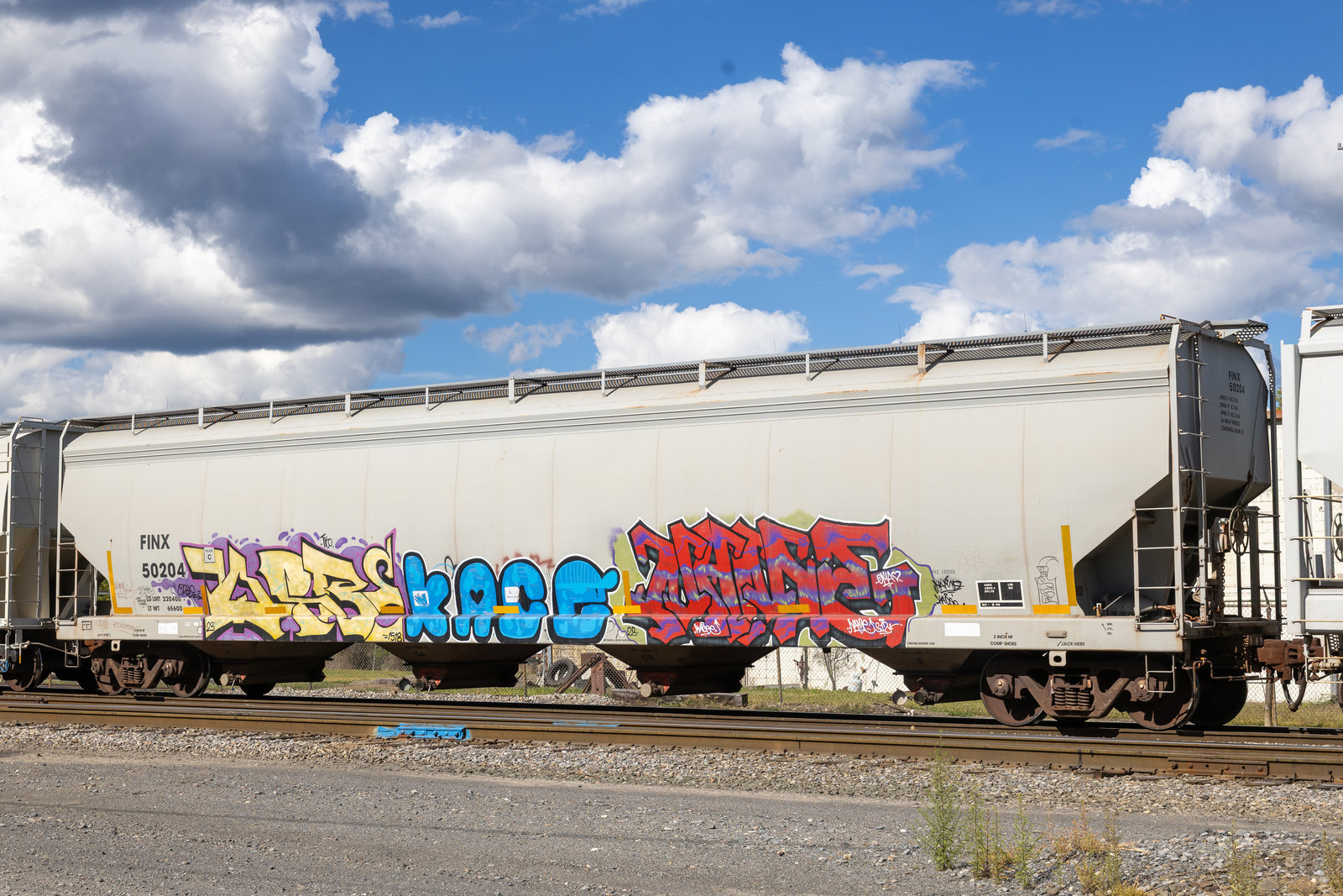 FINX 50204