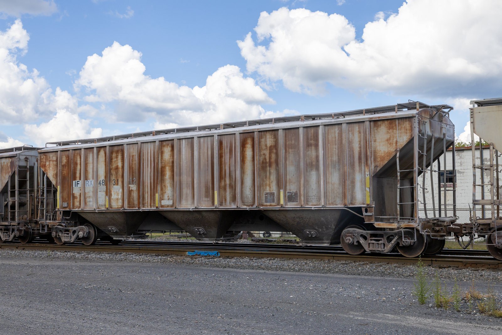 IFRX 483182