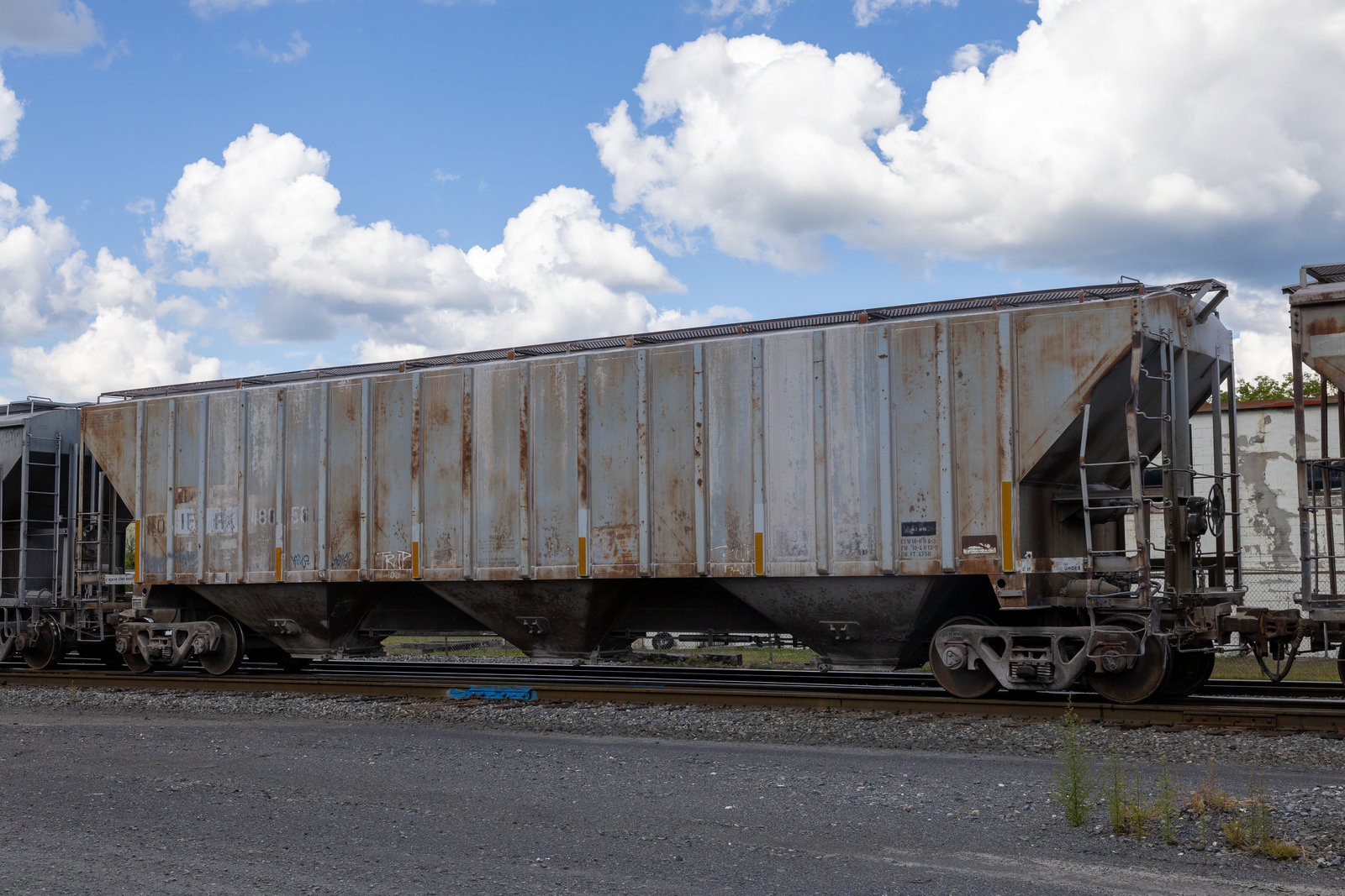 IFRX 480561